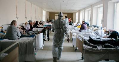 Украина находится на плато заболеваемости коронавирусом, – НАН - focus.ua