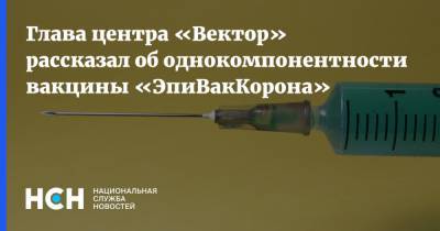 Ринат Максютов - Глава центра «Вектор» рассказал об однокомпонентности вакцины «ЭпиВакКорона» - nsn.fm