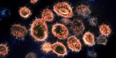 Исследование: коронавирус способен вызывать слабоумие, депрессию и психозы - detaly.co.il