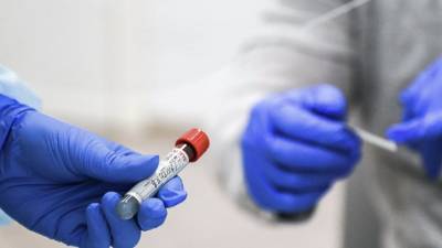 В России за сутки проведено 323 тысячи тестов на коронавирус - russian.rt.com - Россия