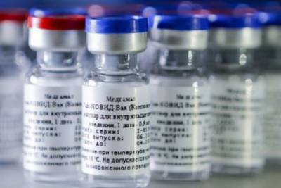 В Петербург доставили вакцины «ЭпиВакКорона» и «ГамковидВак» - spb.mk.ru - Санкт-Петербург