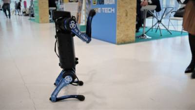 Американские ученые представили робота-поводыря для помощи слепым - nation-news.ru