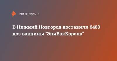 В Нижний Новгород доставили 6480 доз вакцины "ЭпиВакКорона" - ren.tv - Нижний Новгород