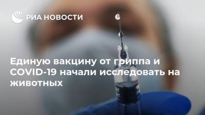 Ринат Максютов - Единую вакцину от гриппа и COVID-19 начали исследовать на животных - ria.ru - Россия - Москва