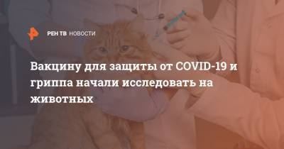 Ринат Максютов - Вакцину для защиты от COVID-19 и гриппа начали исследовать на животных - ren.tv