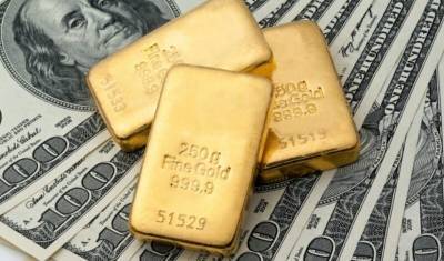 Золотовалютные резервы упали до минимума 2018 года - newizv.ru