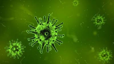 Японские исследователи изучили степень заразности британского штамма коронавируса - inforeactor.ru