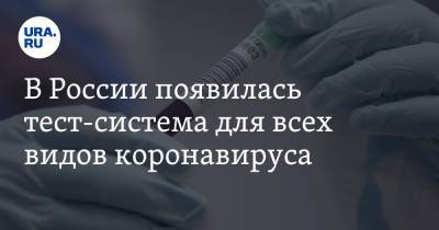 В России появилась тест-система для всех видов коронавируса - ura.news - Россия