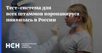 Тест-система для всех штаммов коронавируса появилась в России - nsn.fm - Россия