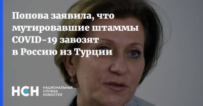 Анна Попова - Попова заявила, что мутировавшие штаммы COVID-19 завозят в Россию из Турции - nsn.fm - Россия - Турция - Екатеринбург
