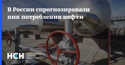В России спрогнозировали пик потребления нефти - nsn.fm - Россия