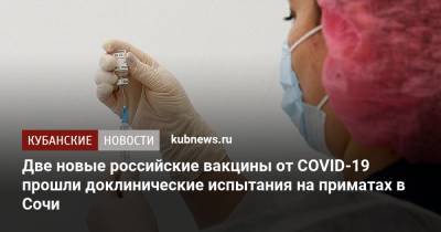 Две новые российские вакцины от COVID-19 прошли доклинические испытания на приматах в Сочи - kubnews.ru - Краснодарский край - Сочи