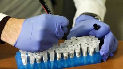 В России за сутки проведено 340 тысяч тестов на коронавирус - russian.rt.com - Россия