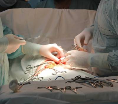 В Японии проведена первая в мире пересадка легкого от живых доноров пациенту с серьезным повреждением от COVID-19 - ufacitynews.ru