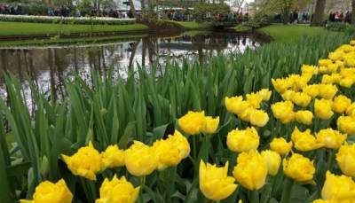 В Риге открывается музей Темноты, а в Нидерландах – парк цветов - inform-ua.info - Рига