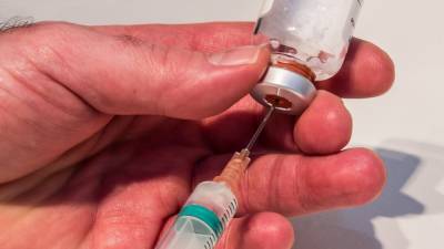 Александр Гинцбург - Специалисты Центра имени Н.Ф. Гамалеи разработали новую вакцину от COVID-19 - polit.info