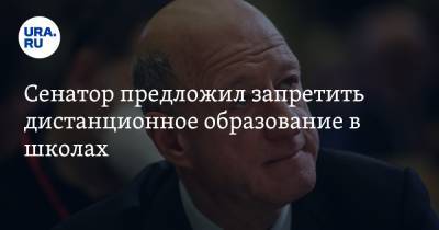 Александр Бабаков - Сенатор предложил запретить дистанционное образование в школах - ura.news