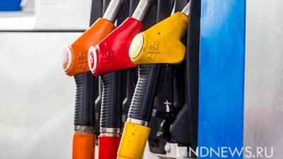 ФАС начала проверку обоснованности цен на автомобильное топливо - newdaynews.ru - Россия
