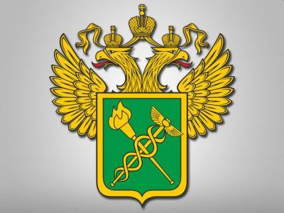 ФТС отчиталась о перечислениях в бюджет РФ за I квартал - rosbalt.ru - Россия