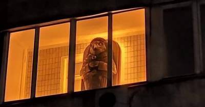 "Надеюсь, внутри пусто": в Киеве на балконе заметили древнеегипетский саркофаг (фото) - focus.ua - Египет - Киев