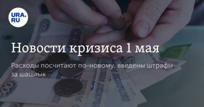 Новости кризиса 1 мая. Расходы посчитают по-новому, введены штрафы за шашлык - ura.news - Россия