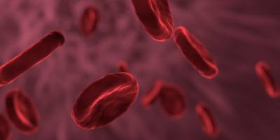 Официально. Ученые подтвердили связь между группой крови и риском развития болезней - nv.ua