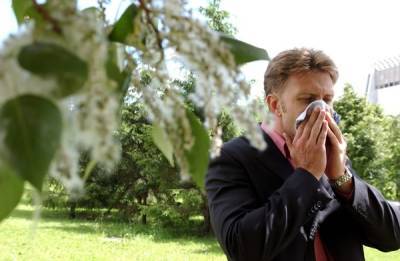Врач дал рекомендации аллергикам по борьбе с реакцией на пыльцу и пыль - govoritmoskva.ru - Москва
