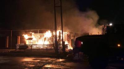 В Билимбае сгорела частная передержка. Погибло 30 собак - newdaynews.ru