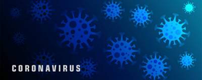 В Ставропольском крае обнаружены еще 49 заразившихся коронавирусом - runews24.ru - Ставрополье край