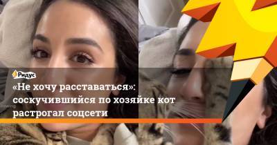«Не хочу расставаться»: соскучившийся по хозяйке кот растрогал соцсети - ridus.ru