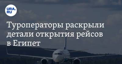 Туроператоры раскрыли детали открытия рейсов в Египет - ura.news - Россия - Египет