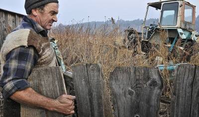 Фермеры в России: битвы за урожай и выживание в рынке - newizv.ru - Россия