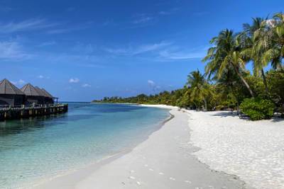 Туристов предупредили об одной опасности на любимых курортах богачей - lenta.ru - New York - Мальдивы