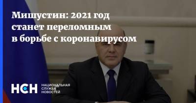 Михаил Мишустин - Мишустин: 2021 год станет переломным в борьбе с коронавирусом - nsn.fm - Россия