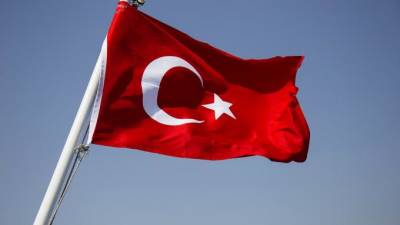 Реджеп Тайип Эрдоган - Эрдоган анонсировал выход Турции из локдауна - piter.tv - Турция