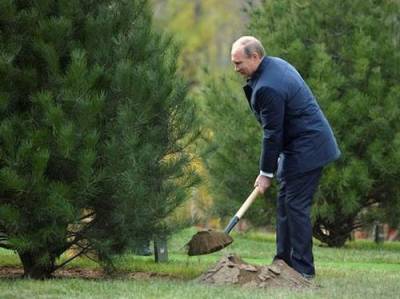 Владимир Путин - Путин поручил предусмотреть снижение объема выбросов парниковых газов до уровней ниже ЕС - argumenti.ru - Россия - Евросоюз