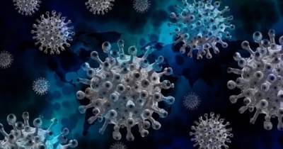 Индия - ВОЗ рассказала, сколько стран уже "подкосил" индийский штамм коронавируса - dsnews.ua - Англия - Бразилия - Юар