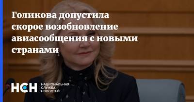 Татьяна Голикова - Голикова допустила скорое возобновление авиасообщения с новыми странами - nsn.fm - Россия