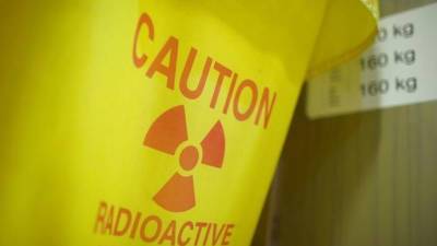 Ученые прокомментировали статью про ядерные реакции на ЧАЭС - newdaynews.ru - Россия - Англия