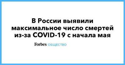 В России выявили максимальное число смертей из-за COVID-19 с начала мая - smartmoney.one - Россия