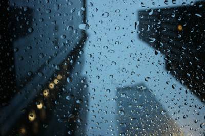 Туман и дождь: о погоде в Запорожье 13 мая - inform.zp.ua - Украина - Запорожье