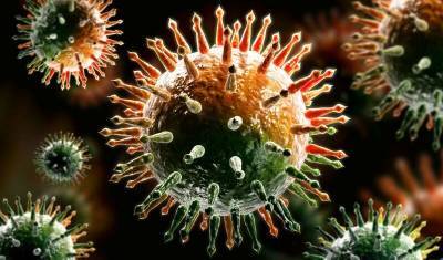 Ученые выяснили, как коронавирус обманывает иммунитет человека - newizv.ru