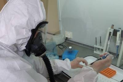 Еще четверо новосибирцев скончались от коронавируса - tayga.info - Новосибирская обл.