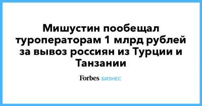 Мишустин пообещал туроператорам 1 млрд рублей за вывоз россиян из Турции и Танзании - forbes.ru - Россия - Турция - Танзания