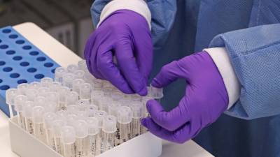 В Петербурге провели более 22 тысяч тестов на коронавирус за сутки - russian.rt.com - Россия - Санкт-Петербург - Приморье край - Пресс-Служба