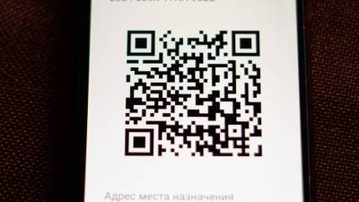 Московские власти удалили данные, полученные для цифровых пропусков - mir24.tv - Москва