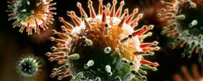 Medical Xpress - Ученые выяснили, как ковид «обманывает» иммунитет - runews24.ru - Израиль