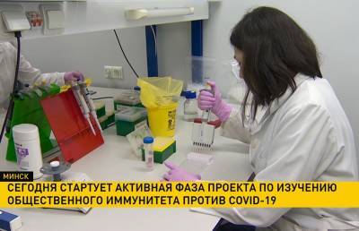 14 мая стартует активная фаза проекта по изучению общественного иммунитета против COVID-19 – сдать тест на антитела может каждый - ont.by - Минск