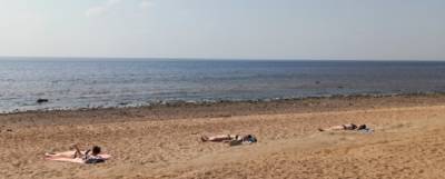 Летом этого года в Ленинградской области откроют 44 пляжа - runews24.ru - Ленобласть обл.