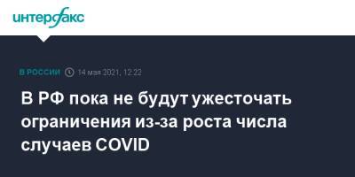 Виталий Зверев - В РФ пока не будут ужесточать ограничения из-за роста числа случаев COVID - interfax.ru - Россия - Москва